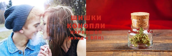крисы Нея