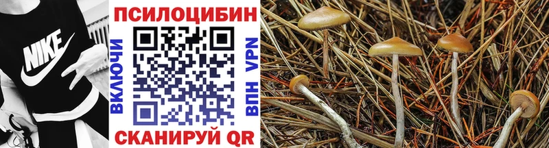 где купить наркоту  Лысково  Галлюциногенные грибы Psilocybine cubensis 